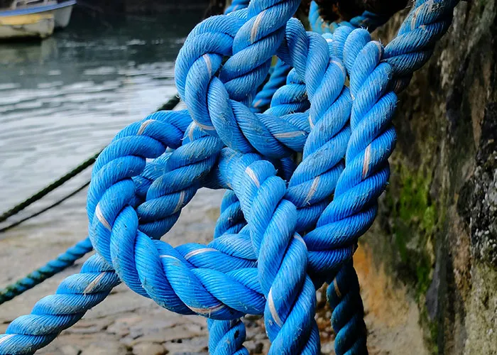 30 Must-Have Life Skills That Nobody Taught These Internet Users