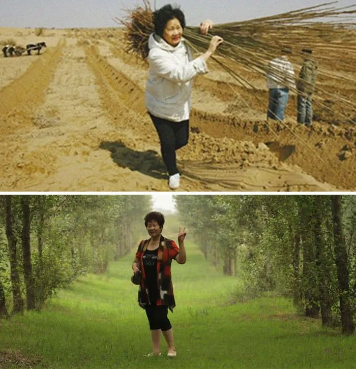 A 67-Year-Old Woman Has Planted More Than 2 Million Trees In The Dessert In North China's Inner Mongolia Autonomous Region In The Past 12 Years To Fulfill Her Son's Dying Wish