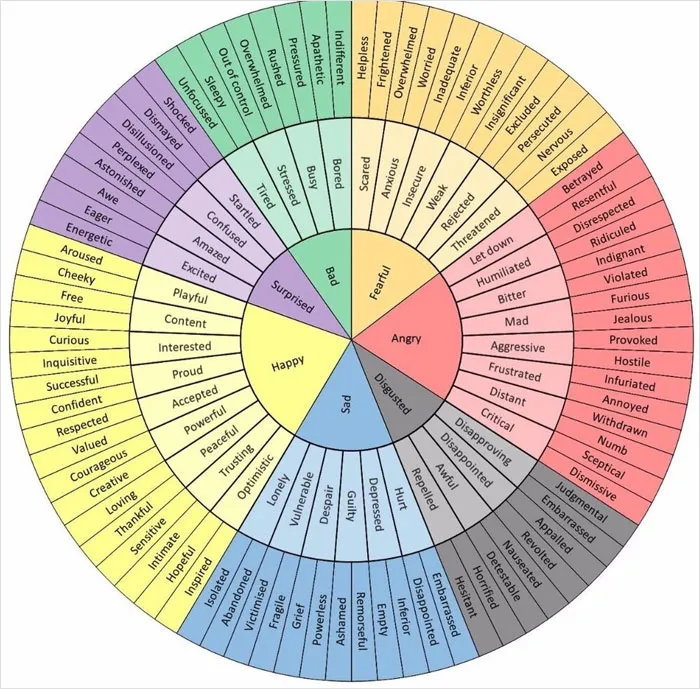 Feelings Chart