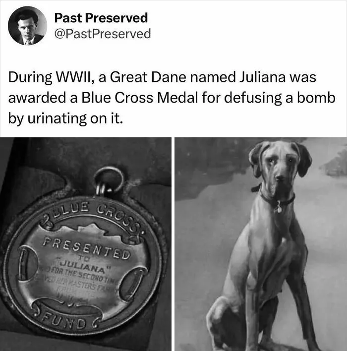 30 Intriguing True Stories From The Past Few Know About