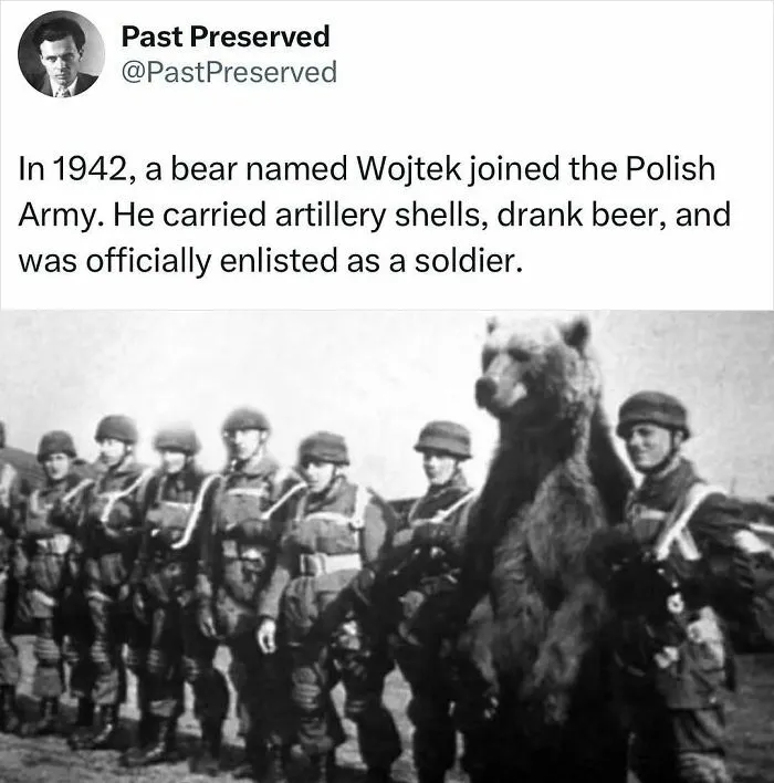30 Intriguing True Stories From The Past Few Know About