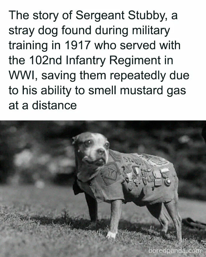 30 Intriguing True Stories From The Past Few Know About