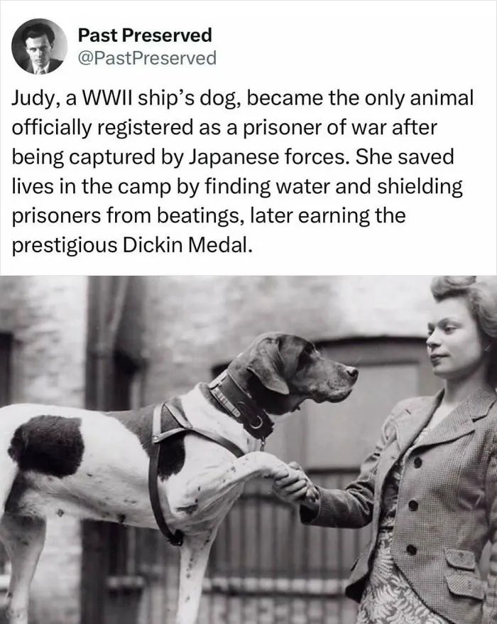 30 Intriguing True Stories From The Past Few Know About