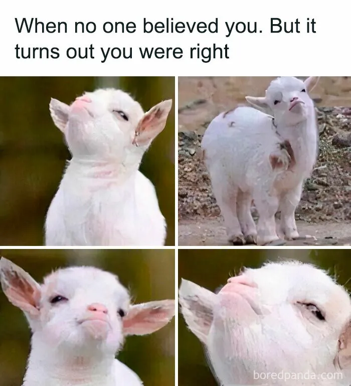 50 Funny Memes That Have Women Feeling Called Out