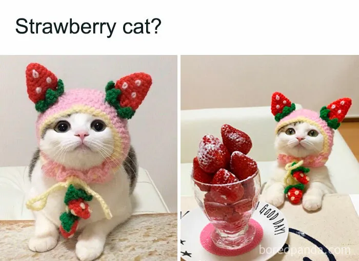 50 Funny Memes That Have Women Feeling Called Out