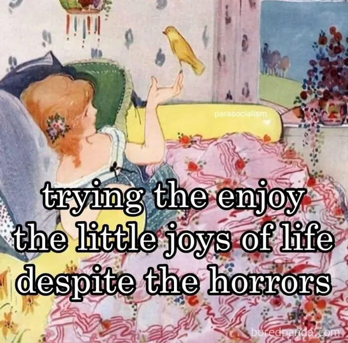 Woman in bed with a bird, capturing girly things; text reads "trying to enjoy the little joys of life despite the horrors."