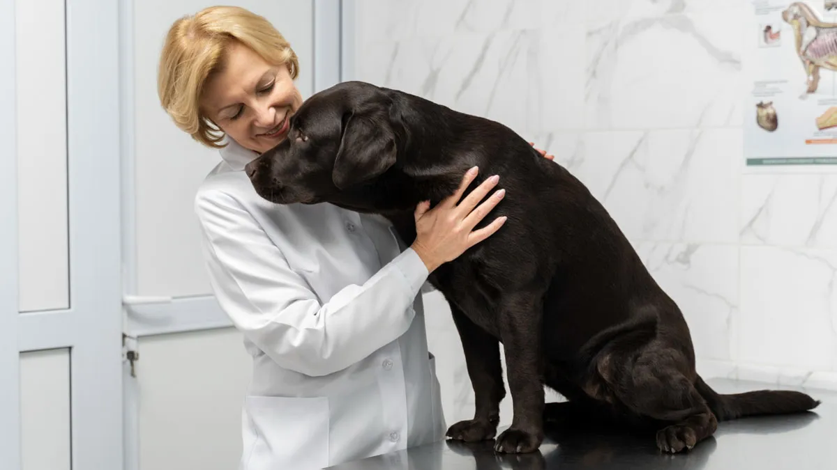 Woman Leaves Dog With Friend, Returns To A $1,400 Vet Bill, Completely Loses It