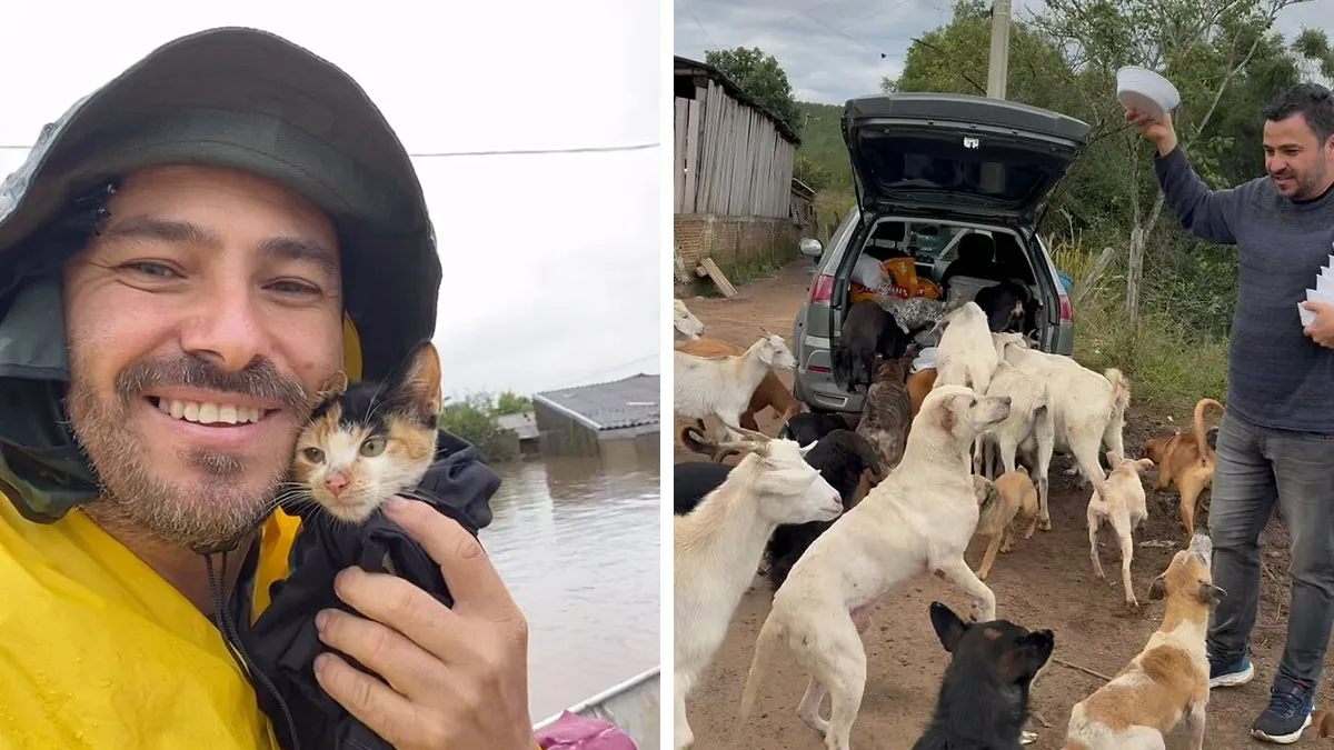 One Man Who Changed Countless Lives Of Stray Animals Over 25 Years
