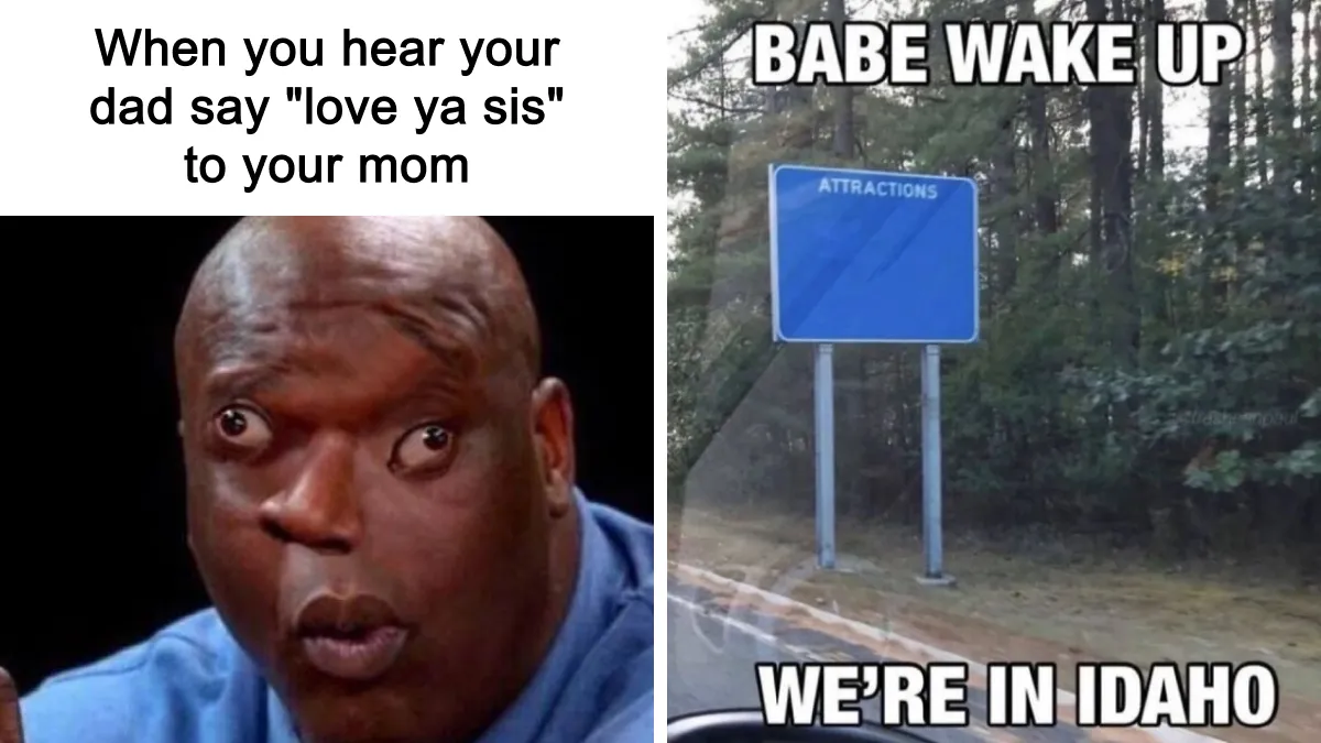 Every State Gets Roasted: 50 Memes That Hit Way Too Close to Home