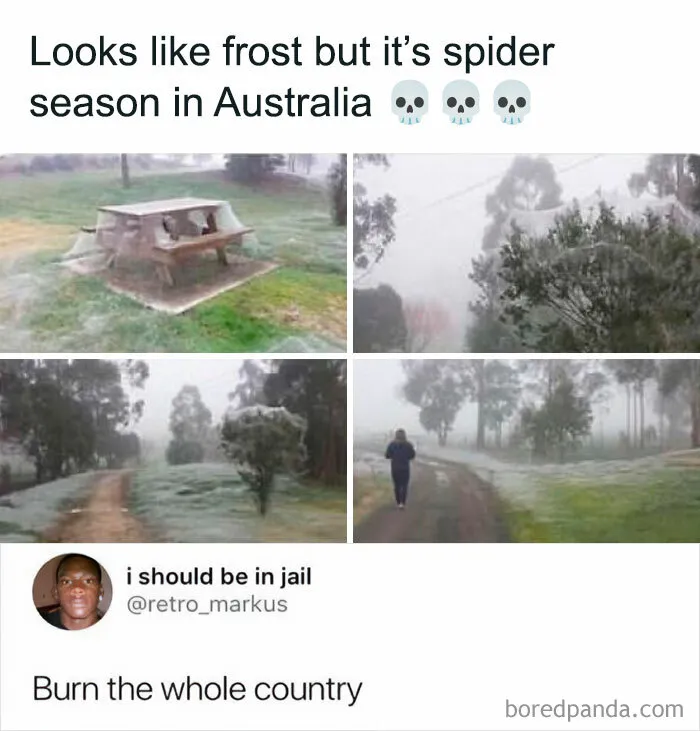 50 Funny Memes For Your Daily Dose Of Laughter