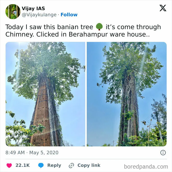 Nature Can Do Anything