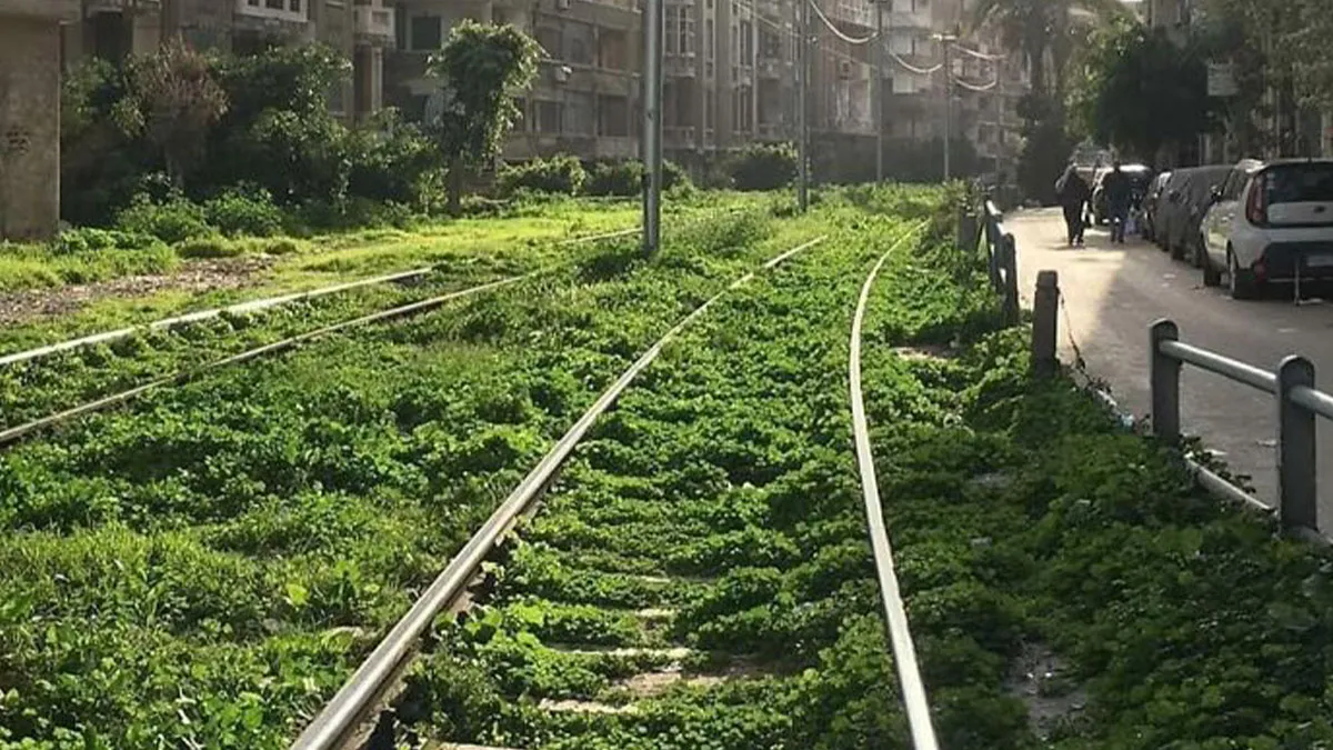 50 Stunning Examples Of Nature Reclaiming What Humans Left Behind (New Pics)
