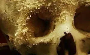 “Oddly Terrifying”: 50 Of The Most Unnerving Images That Feel Like A Glitch In Reality (New Pics)