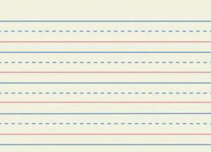 Elementary School Paper