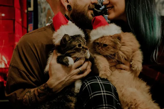 34 People Discuss The Good, The Bad And The Ugly Sides Of The Childfree Lifestyle