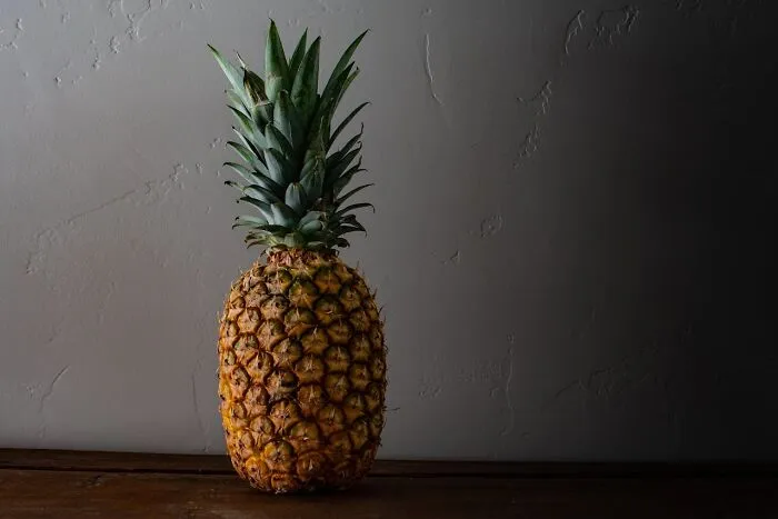 50 Weird Facts No One Really Asked For, But They’re Pretty Neat To Know (New Facts)