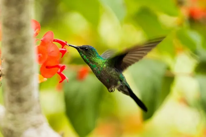 50 Cool And Interesting Facts People Learned About Animals