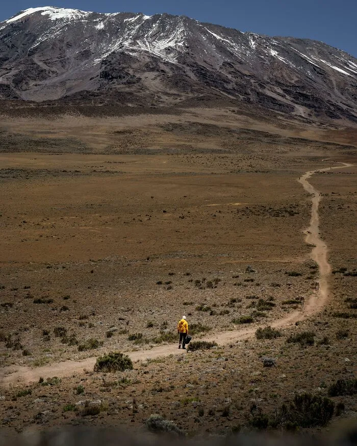 Kilimanjaro