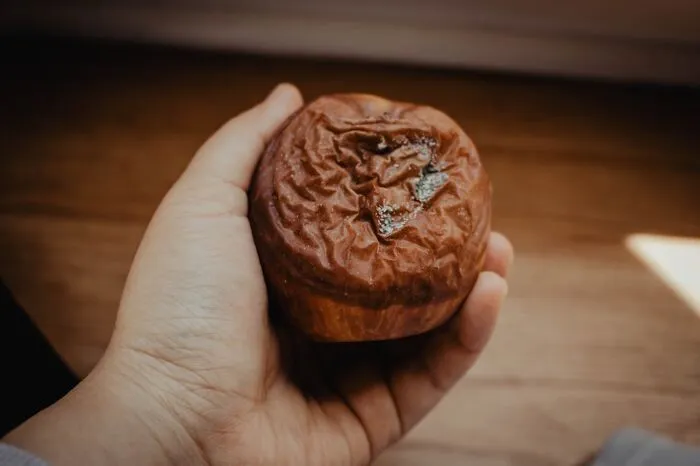 "Starts To Bleed Into The Relationship": 30 Times Frugal Crossed The Line Into Cheap