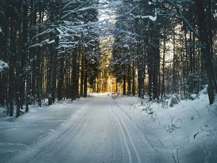 Winter Is Only Good For The First Two Weeks