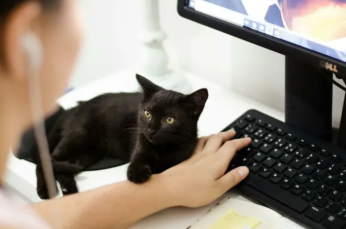 Being Unwilling To Use Technology Is The Equivalent Of Being Illiterate