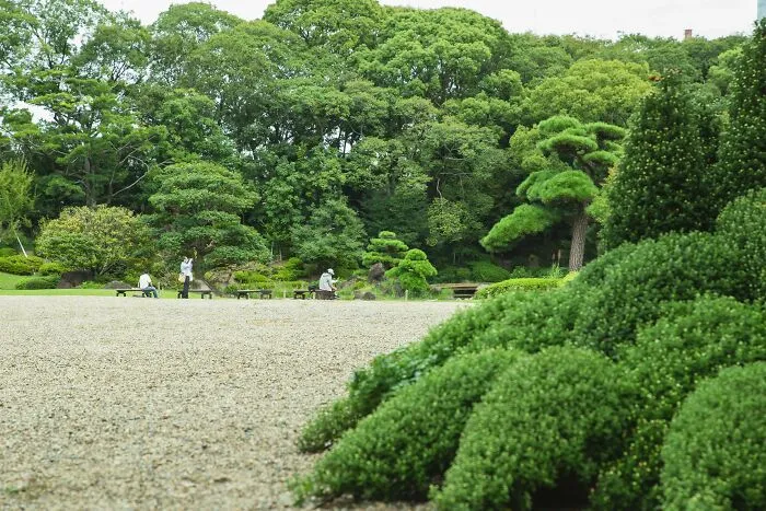 33 Cultural Differences People Were Shocked To See Abroad