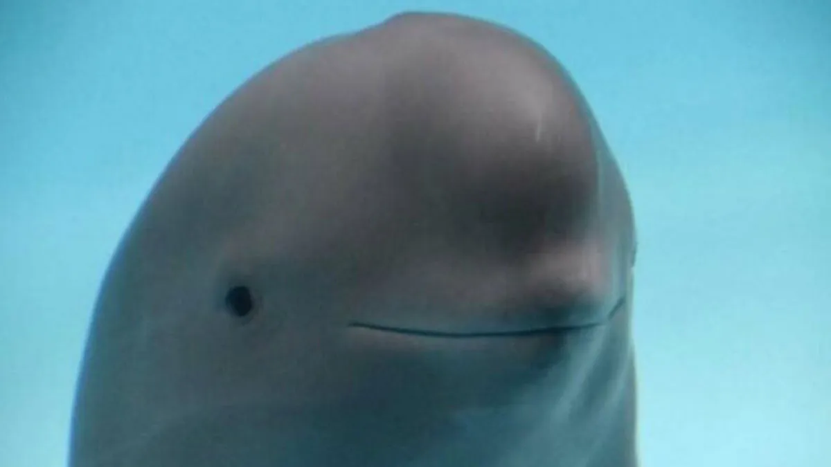 47 Tweets And Jokes Created For Your Chuckles