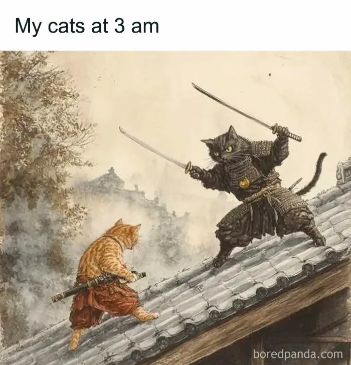 50 Funny Cat Memes To Brighten Up Your Day If The World Feels Like A Cat-astrophe Right Now (New Pics)