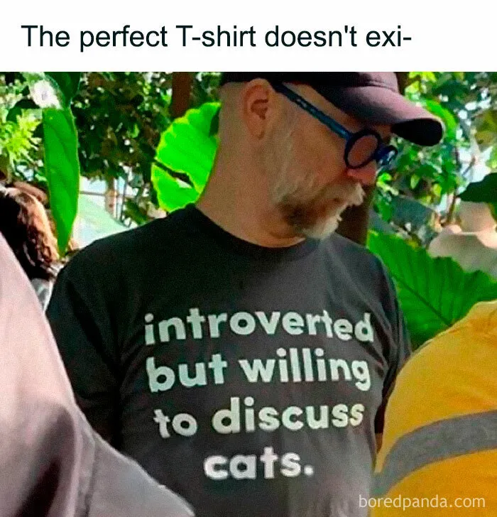 50 Funny Cat Memes To Brighten Up Your Day If The World Feels Like A Cat-astrophe Right Now (New Pics)