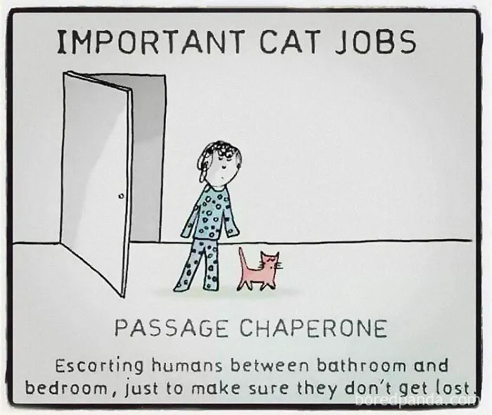 50 Funny Cat Memes To Brighten Up Your Day If The World Feels Like A Cat-astrophe Right Now (New Pics)