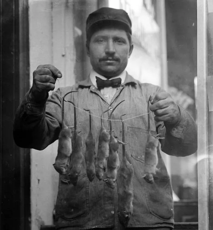 Rat Catcher