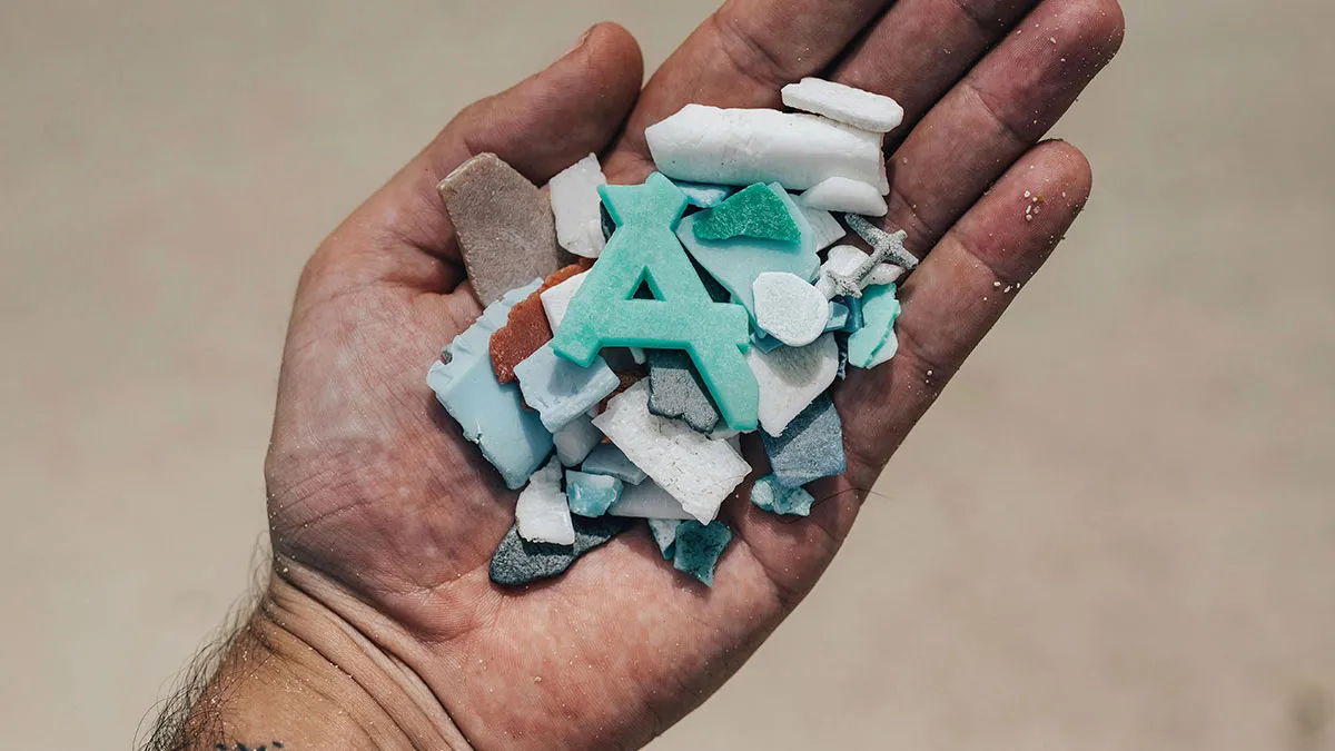Since It Was Proven Our Brains Are Littered With Microplastics, Here Are Some Ways To Prevent It