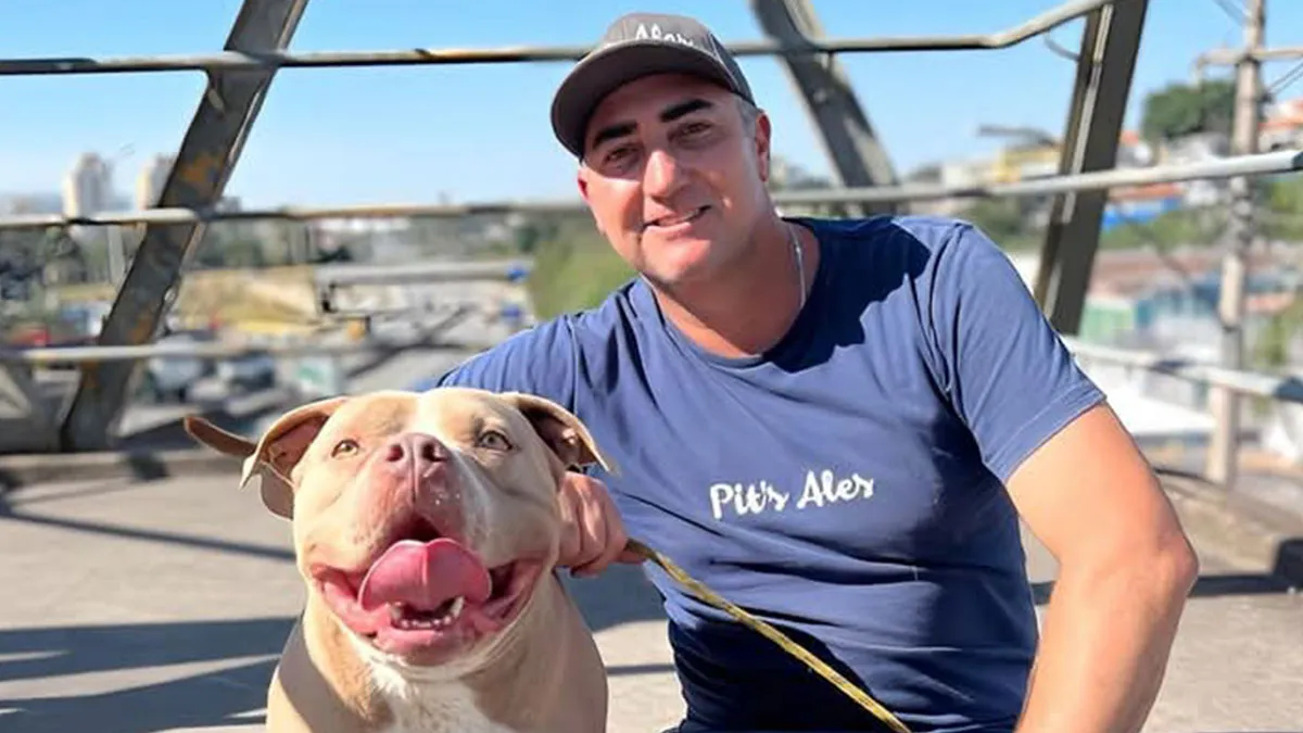 Due To Bad Reputation Of The Breed, Pit Bull Rescuers Struggle To Stay Open