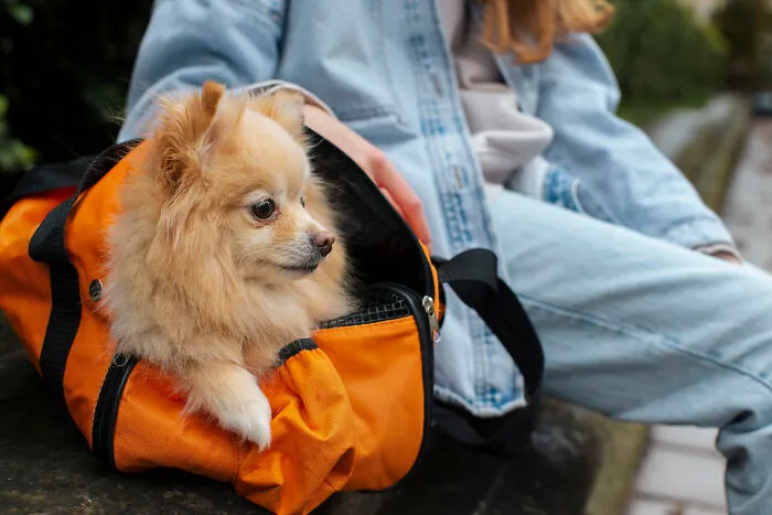 30 Folks Online Said These Things Are “Must-Haves” During Any Trip