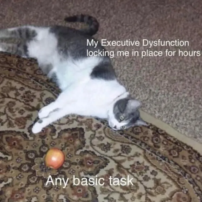 50 Hilariously Relatable Memes That Are Pure Serotonin (New Pics)