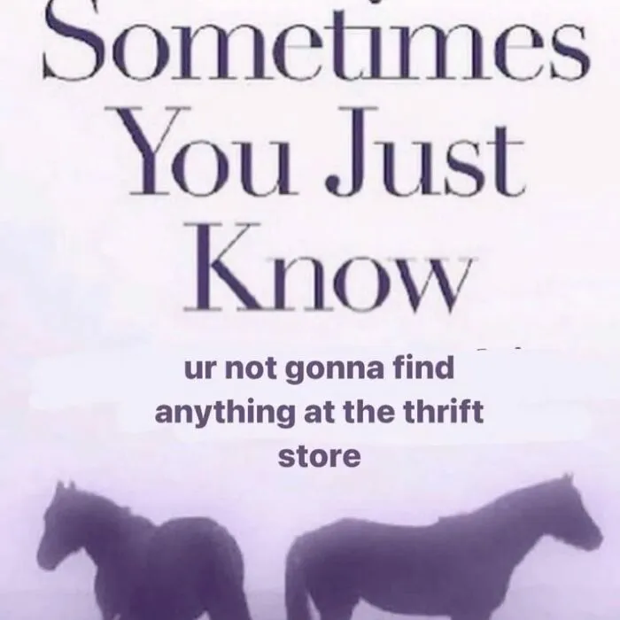 Text reads "Sometimes you just know ur not gonna find anything at the thrift store" with silhouettes of two horses. Mental health meme.