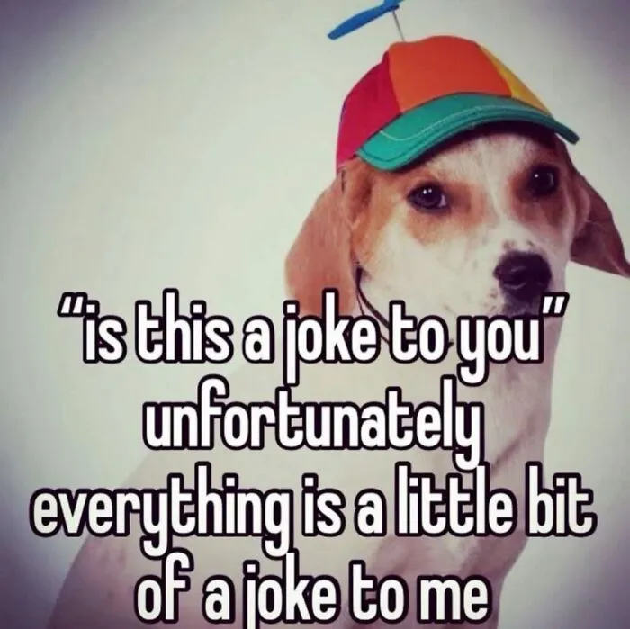 50 Hilariously Relatable Memes That Are Pure Serotonin (New Pics)