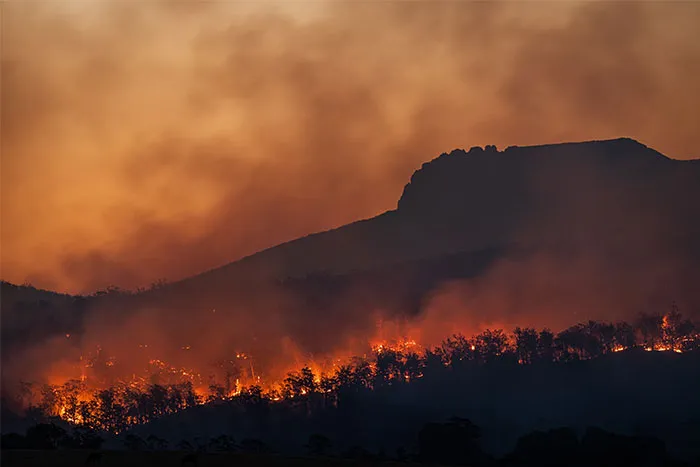 30 Critical Pieces Of Knowledge That A “Disturbing Number Of People” Are Ignorant Of