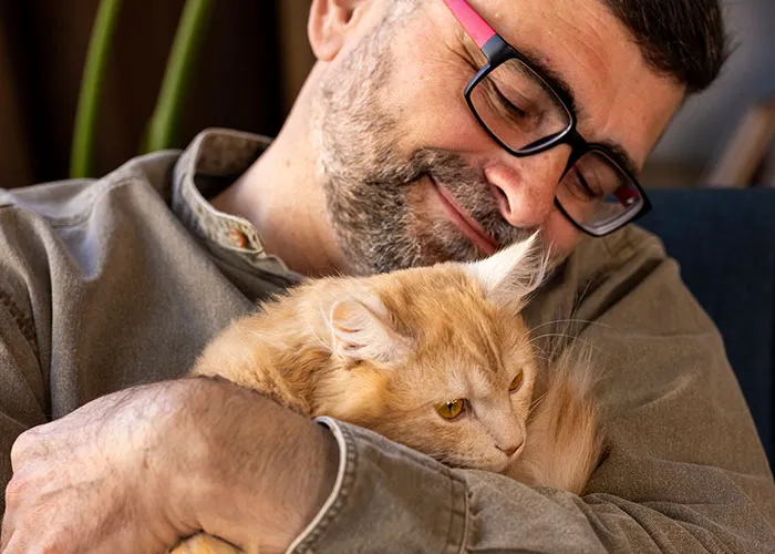 20 Personas cuentan sus experiencias con el «sistema de distribución de gatos»
