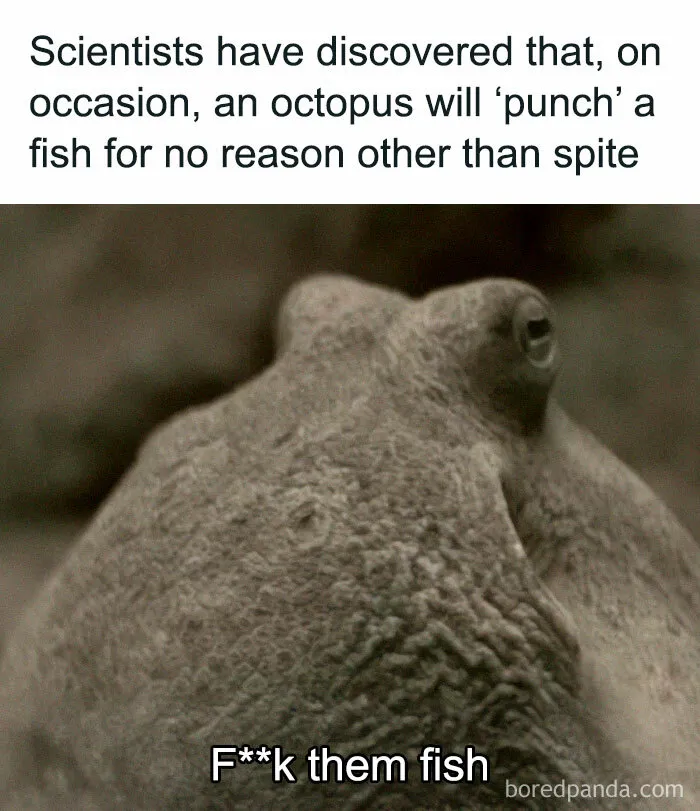 Knowledge Is Power