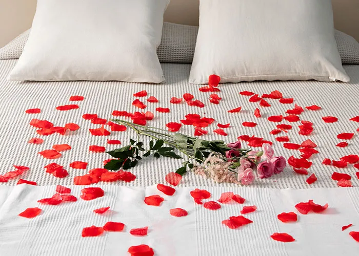 43 Times Housekeepers Were Taken Aback By Things Left In Rooms: “Forgot His Inflatable Girlfriend”