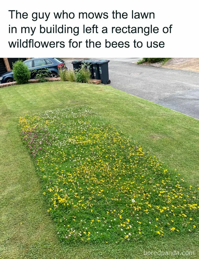 Just 50 Random But Hilarious Memes To See You Through Another Manic Week