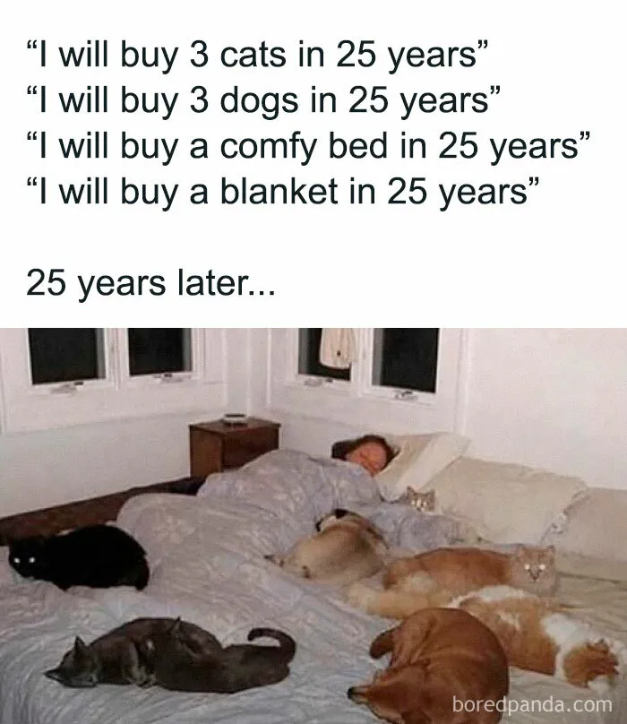 30 Literal Memes That Are Hilariously Straight To The Point (New Pics)