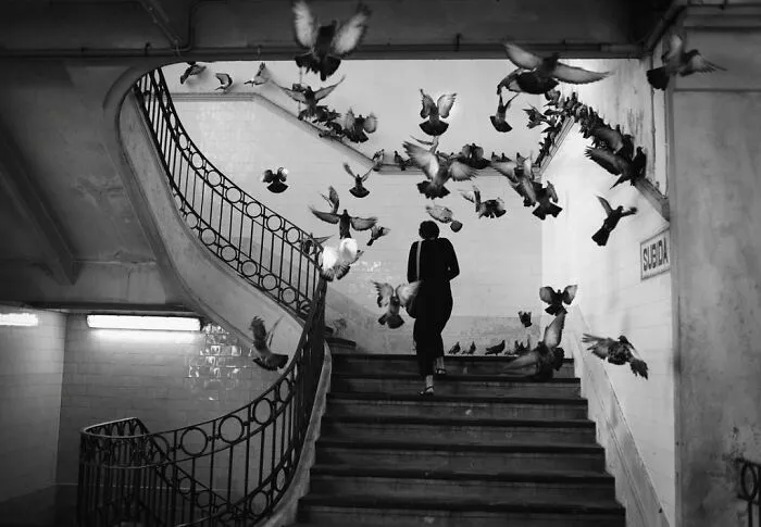 30 Captivating Street Photos That Showcase Life’s Unexpected Moments, As Shared On This IG Page (New Pics)