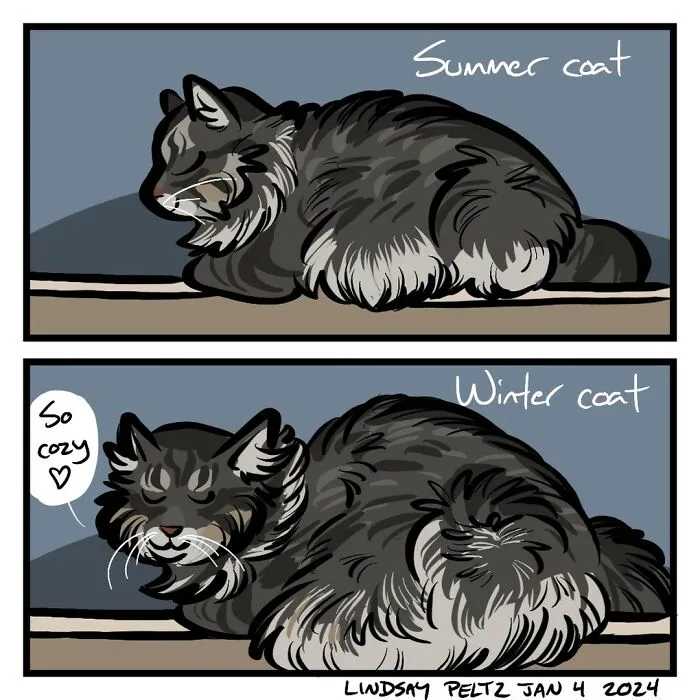 Artist Created 25 Relatable Comics That Perfectly Capture Life’s Struggles