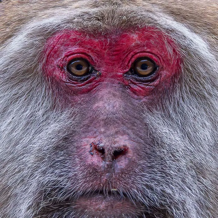 A Photographer Captures Nature’s Most Breathtaking Moments, And Here Are His 30 Best Shots