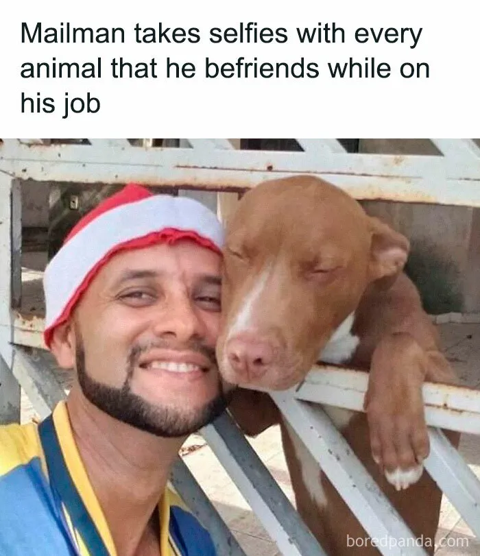 50 Funny Pics Featuring All Kinds Of Animals To Brighten Up Your Day (New Pics)