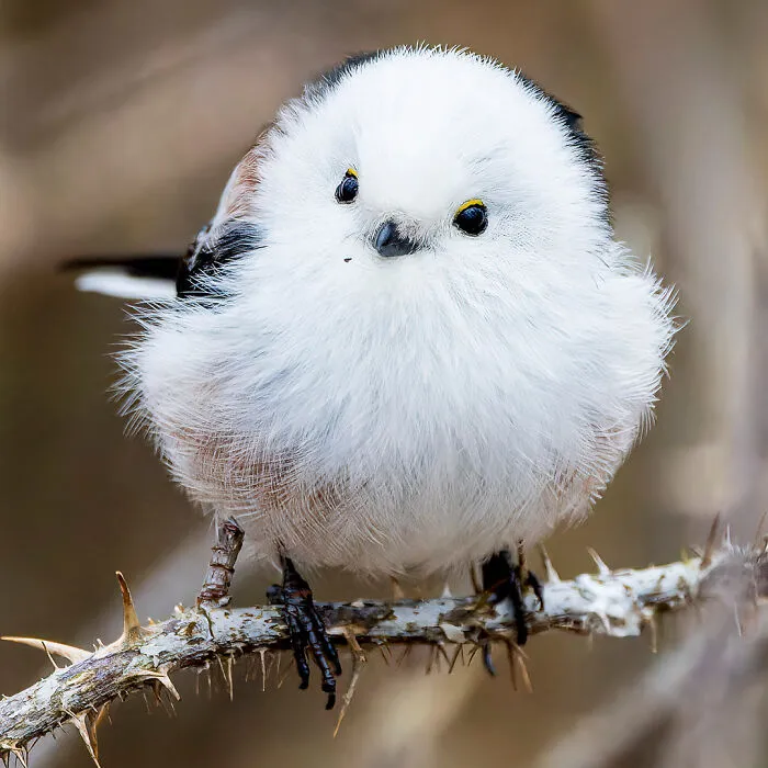 A Photographer Captures Nature’s Most Breathtaking Moments, And Here Are His 30 Best Shots