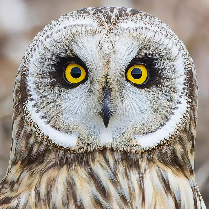 A Photographer Captures Nature’s Most Breathtaking Moments, And Here Are His 30 Best Shots