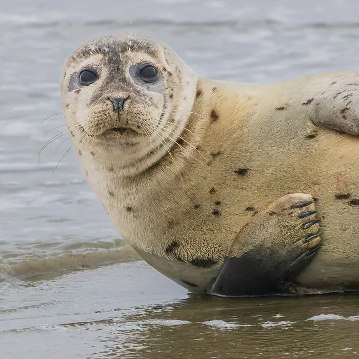 A Photographer Captures Nature’s Most Breathtaking Moments, And Here Are His 30 Best Shots